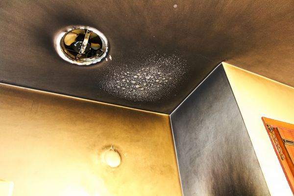 Smoke Damage Removal in Seattle